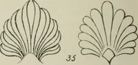 An illustration from L'Art ornamental (1916)