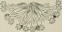 An illustration from L'Art ornamental (1916)