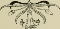 An illustration from L'Art ornamental (1916)