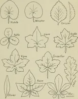 An illustration from L'Art ornamental (1916)