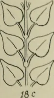 An illustration from L'Art ornamental (1916)