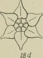 An illustration from L'Art ornamental (1916)
