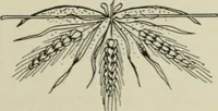 An illustration from L'Art ornamental (1916)