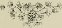 An illustration from L'Art ornamental (1916)