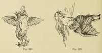 An illustration from L'art profane à l'église; ses licences symboliques, satiriques et fantaisistes. Contribution à létude archéologique et artistique des édifices religieux (1908)