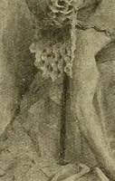 An illustration from L'art religieux de la fin du moyen âge en France; étude sur l'iconographie du moyen âge et sur ses sources d'inspiration; (1908)