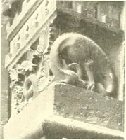 An illustration from L'art religieux du XIIIe siècle en France : étude sur l'iconographie du moyen age et sur ses sources d'inspiration (1910)