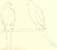 An illustration from L'art religieux du XIIIe siècle en France : étude sur l'iconographie du moyen age et sur ses sources d'inspiration (1910)