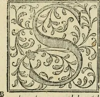 An illustration from Las antigvedades de las civdades de España : que van nombradas en la Coronica, con la aueriguacion de sus sitios, y nõbres antiguos (1575)