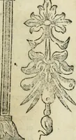 An illustration from Las antigvedades de las civdades de España : que van nombradas en la Coronica, con la aueriguacion de sus sitios, y nõbres antiguos (1575)