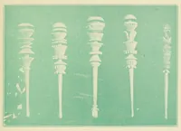 Picture 15 of 15 from Las artes populares en Mexico (1921), leaf 105