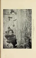 An illustration from La S. casa di Loreto secondo un affresco di Gubbio (1907)