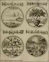Picture 61 of 70 from La science des hieroglyphes, ou, L'art d'exprimer par des figures symboliques, les vertus, les vices, les passions & les moeurs &c. avec diférentes [sic] devices historiques : ouvrage utile aux peintres, aux statuaires, aux graveurs & aux amateurs des arts qui dépendent du dessein (1736), leaf 200