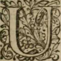 An illustration from La science des hieroglyphes, ou, L'art d'exprimer par des figures symboliques, les vertus, les vices, les passions & les moeurs &c. avec diférentes [sic] devices historiques : ouvrage utile aux peintres, aux statuaires, aux graveurs & aux amateurs des arts qui dépendent du dessein (1736)