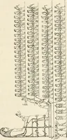 Picture 18 of 46 from La sculpture égyptienne (1876), leaf 50