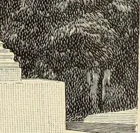 An illustration from La scultura, la pittura di U. Fleres, P. Molmenti, U. Ojetti, G. Menasci : le arti applicate di Guido Menasci (1900)