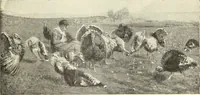 An illustration from La scultura, la pittura di U. Fleres, P. Molmenti, U. Ojetti, G. Menasci : le arti applicate di Guido Menasci (1900)