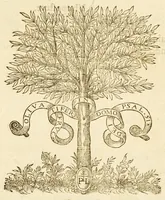 An illustration from La seconde semaine : ov Enfance du monde, (1584)