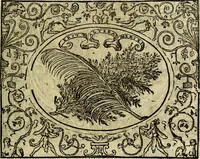 An illustration from La sententiose imprese, et dialogo del Symeone. Con la verificatione del sito di Gergobia, la geografia d'Ouernia, la figura & tempio d'Apolline in Velay; & il suo hieroglyfico monumento, natiuità, vita & epitaffio (1560)