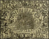 An illustration from La sententiose imprese, et dialogo del Symeone. Con la verificatione del sito di Gergobia, la geografia d'Ouernia, la figura & tempio d'Apolline in Velay; & il suo hieroglyfico monumento, natiuità, vita & epitaffio (1560)