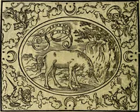 An illustration from La sententiose imprese, et dialogo del Symeone. Con la verificatione del sito di Gergobia, la geografia d'Ouernia, la figura & tempio d'Apolline in Velay; & il suo hieroglyfico monumento, natiuità, vita & epitaffio (1560)