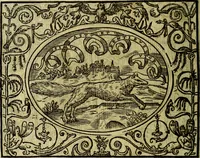 An illustration from La sententiose imprese, et dialogo del Symeone. Con la verificatione del sito di Gergobia, la geografia d'Ouernia, la figura & tempio d'Apolline in Velay; & il suo hieroglyfico monumento, natiuità, vita & epitaffio (1560)