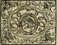 An illustration from La sententiose imprese, et dialogo del Symeone. Con la verificatione del sito di Gergobia, la geografia d'Ouernia, la figura & tempio d'Apolline in Velay; & il suo hieroglyfico monumento, natiuità, vita & epitaffio (1560)