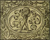 Picture 109 of 174 from La sententiose imprese, et dialogo del Symeone. Con la verificatione del sito di Gergobia, la geografia d'Ouernia, la figura & tempio d'Apolline in Velay; & il suo hieroglyfico monumento, natiuità, vita & epitaffio (1560), leaf 123