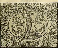 An illustration from La sententiose imprese, et dialogo del Symeone. Con la verificatione del sito di Gergobia, la geografia d'Ouernia, la figura & tempio d'Apolline in Velay; & il suo hieroglyfico monumento, natiuità, vita & epitaffio (1560)