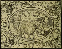 An illustration from La sententiose imprese, et dialogo del Symeone. Con la verificatione del sito di Gergobia, la geografia d'Ouernia, la figura & tempio d'Apolline in Velay; & il suo hieroglyfico monumento, natiuità, vita & epitaffio (1560)