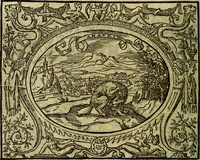 Picture 121 of 174 from La sententiose imprese, et dialogo del Symeone. Con la verificatione del sito di Gergobia, la geografia d'Ouernia, la figura & tempio d'Apolline in Velay; & il suo hieroglyfico monumento, natiuità, vita & epitaffio (1560), leaf 135