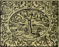 An illustration from La sententiose imprese, et dialogo del Symeone. Con la verificatione del sito di Gergobia, la geografia d'Ouernia, la figura & tempio d'Apolline in Velay; & il suo hieroglyfico monumento, natiuità, vita & epitaffio (1560)