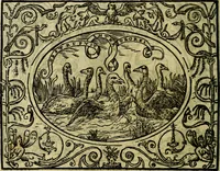 An illustration from La sententiose imprese, et dialogo del Symeone. Con la verificatione del sito di Gergobia, la geografia d'Ouernia, la figura & tempio d'Apolline in Velay; & il suo hieroglyfico monumento, natiuità, vita & epitaffio (1560)