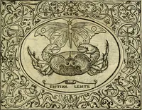 An illustration from La sententiose imprese, et dialogo del Symeone. Con la verificatione del sito di Gergobia, la geografia d'Ouernia, la figura & tempio d'Apolline in Velay; & il suo hieroglyfico monumento, natiuità, vita & epitaffio (1560)