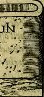 Picture 166 of 174 from La sententiose imprese, et dialogo del Symeone. Con la verificatione del sito di Gergobia, la geografia d'Ouernia, la figura & tempio d'Apolline in Velay; & il suo hieroglyfico monumento, natiuità, vita & epitaffio (1560), leaf 331