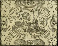 An illustration from La sententiose imprese, et dialogo del Symeone. Con la verificatione del sito di Gergobia, la geografia d'Ouernia, la figura & tempio d'Apolline in Velay; & il suo hieroglyfico monumento, natiuità, vita & epitaffio (1560)