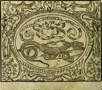 An illustration from La sententiose imprese, et dialogo del Symeone. Con la verificatione del sito di Gergobia, la geografia d'Ouernia, la figura & tempio d'Apolline in Velay; & il suo hieroglyfico monumento, natiuità, vita & epitaffio (1560)