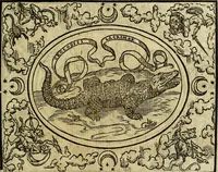 Picture 56 of 174 from La sententiose imprese, et dialogo del Symeone. Con la verificatione del sito di Gergobia, la geografia d'Ouernia, la figura & tempio d'Apolline in Velay; & il suo hieroglyfico monumento, natiuità, vita & epitaffio (1560), leaf 70