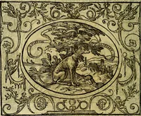 An illustration from La sententiose imprese, et dialogo del Symeone. Con la verificatione del sito di Gergobia, la geografia d'Ouernia, la figura & tempio d'Apolline in Velay; & il suo hieroglyfico monumento, natiuità, vita & epitaffio (1560)