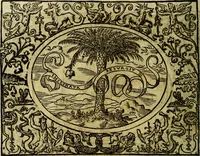 An illustration from La sententiose imprese, et dialogo del Symeone. Con la verificatione del sito di Gergobia, la geografia d'Ouernia, la figura & tempio d'Apolline in Velay; & il suo hieroglyfico monumento, natiuità, vita & epitaffio (1560)