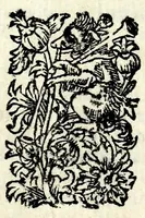 An illustration from La serva padrona : commedia