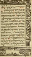 An illustration from Las horas de Nuestra Señora segu[n] el vso romano : enlas quales son añadidas muchas oraciones muy deuotas. : Y de nueuo el rosario de Nuestra Señora: y son ad longu[m] ésin [sic] require (1551)