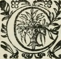 Picture 39 of 82 from La Silvanire, ou, La morte-vive (1631), leaf 157