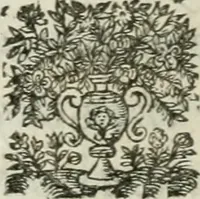 Picture 75 of 82 from La Silvanire, ou, La morte-vive (1631), leaf 313