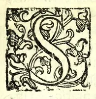 An illustration from La simmetria dell'ottima fortificatione regolare (1630)
