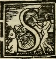 An illustration from La solenne et trionfante entrata dell'illustrissimo & reuerendissimo vescouo monsignor Gio. Battista Biglio nell'antichissima & regal città di Pauia : con le allegrezze & archi, con le historie, imprese, emblemi, simboli, gieroglifici, imagini, iscrittioni, versi, sentenze, & motti (1609)