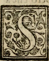 An illustration from La solenne et trionfante entrata dell'illustrissimo & reuerendissimo vescouo monsignor Gio. Battista Biglio nell'antichissima & regal città di Pauia : con le allegrezze & archi, con le historie, imprese, emblemi, simboli, gieroglifici, imagini, iscrittioni, versi, sentenze, & motti (1609)