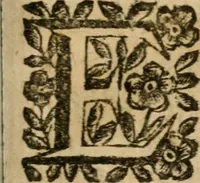 An illustration from La spada di honore : libro primo delle Osseruazioni caualeresche (1672)