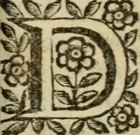Picture 18 of 25 from La spada di honore : libro primo delle Osseruazioni caualeresche (1672), leaf 294