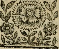 An illustration from La spada di honore : libro primo delle Osseruazioni caualeresche (1672)